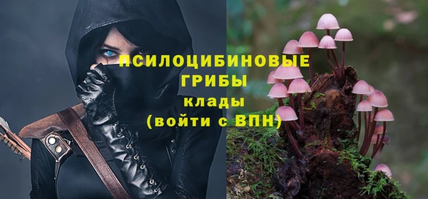 синтетический гашиш Богородск