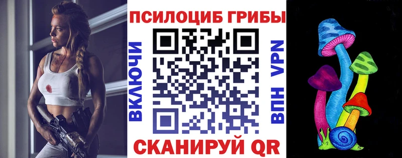это телеграм  Владивосток  Галлюциногенные грибы прущие грибы 
